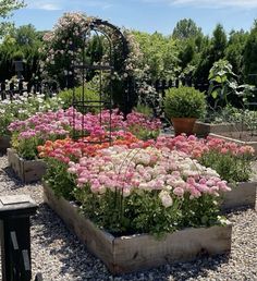 a garden filled with lots of different types of flowers