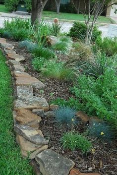 a garden with rocks and plants on the side of the road in front of a house