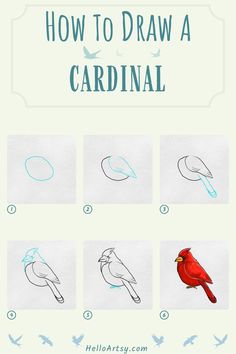 6 drawings demonstrating how to draw a how to draw a cardinal for kids. How To Draw Cardinal Birds, How To Draw Cardinal, Watercolor Cardinal Easy, How To Draw A Cardinal Step By Step, How To Draw A Red Bird, Drawing Cardinals, Red Cardinal Painting Easy, Female Cardinal Drawing