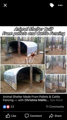 an advertisement for the shelter made from pallets and cattle feed is shown in multiple pictures