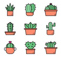 different kinds of cactus in pots