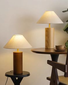 two lamps sitting next to each other on top of a table with a plant in the corner