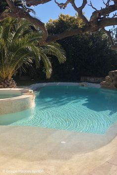 an empty swimming pool surrounded by palm trees