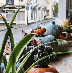 several pumpkins are sitting on the window sill in front of a storefront