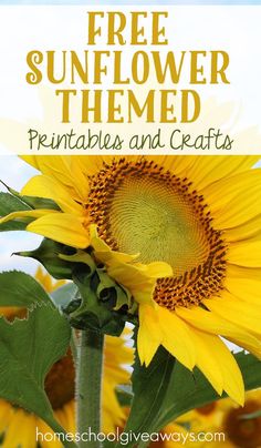 a sunflower with text overlay that reads free sunflower themed printables and crafts