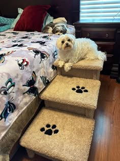 a white dog sitting on top of a set of stairs next to a bed with paw prints