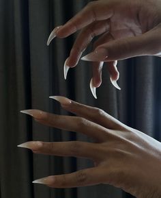 Cat Claw Acrylic Nails, Corpse Nails, Megan Thee Stallion Nails, Fang Nails, Long Sharp Nails, Siren Nails, Claw Nails Designs, Talon Nails