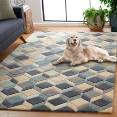 a dog laying on top of a rug in a living room