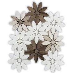 white and brown flowers are arranged in the shape of a circle on a white background