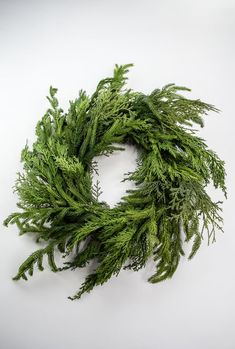 a bunch of green plants sitting on top of a white table