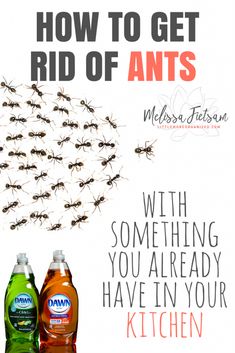 an advertisement for how to get rid of ants, with two bottles of mouthwash