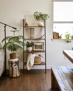 a living room filled with furniture and plants