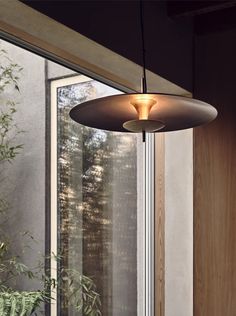 a light that is hanging from the side of a window in a room with plants