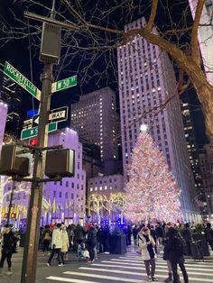 people are standing on the street in front of a large christmas tree with lights all around it