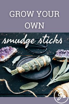 lavender sticks with text overlay that reads grow your own smudge sticks