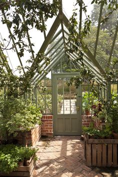 a green house with lots of plants in it