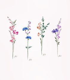 four different types of wildflowers are shown in this image, each with their own color