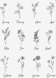 an image of flowers that are drawn in different styles and sizes, with the names on them