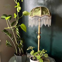 two potted plants on a table next to a lamp