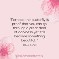 pink flowers with the quote perhaps the butterfly is proof that you can go through a great deal