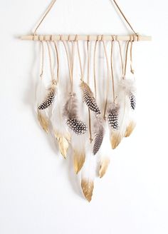 several feathers hanging from a wooden rack on a wall