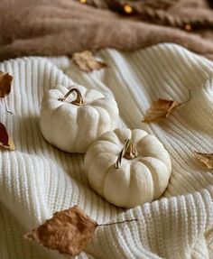 three white pumpkins sitting on top of a blanket