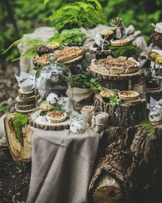 a table topped with lots of pies covered in green plants next to a forest