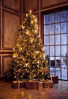 a christmas tree with presents in front of an open window at the end of a room