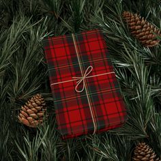 a red plaid wrapped present sitting on top of a pine tree next to some cones