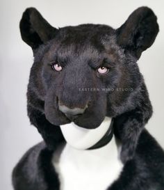 a black and white stuffed animal wearing a collar looking at the camera with an intense look on its face