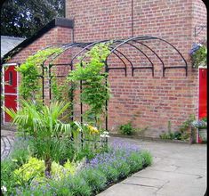 an outdoor garden with lots of flowers and plants growing on the side of the building