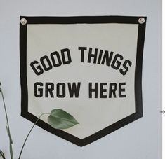 a sign that says good things grow here hanging on the wall next to a potted plant