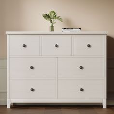 a white dresser with drawers and a potted plant on top