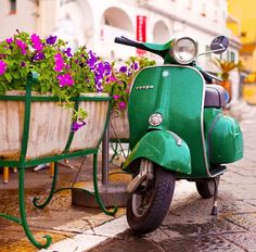 a green scooter parked next to a flower pot with purple flowers in it