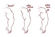 how to draw a muscular man's arm and shoulder