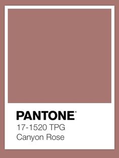 pantone's canyon rose color is shown