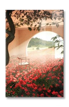 a chair sitting in the middle of a field of flowers with an open window behind it