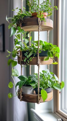 a hanging planter filled with potted plants next to a window