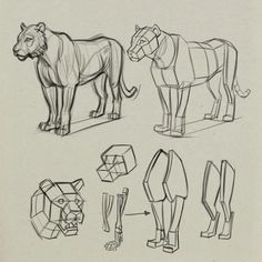 several different types of animals are shown in this drawing book, including an origami horse and a lion