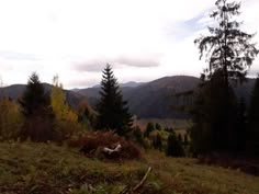 there is a mountain view with trees in the foreground