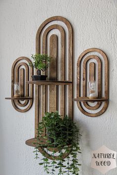 a wall mounted shelf with plants on it