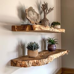 two wooden shelves with plants on them