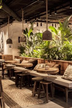 an indoor restaurant with tables and benches, plants on the wall and hanging lights above them