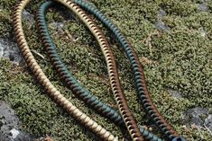 two different colored cords laying on top of moss