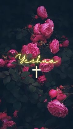 pink roses with the word yesha on it and a cross in front of them