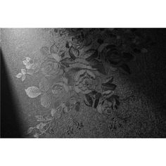 black and white photograph of flowers on the ground with light coming in from behind it