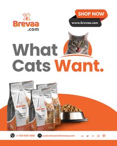 an advertisement for what cats want cat food