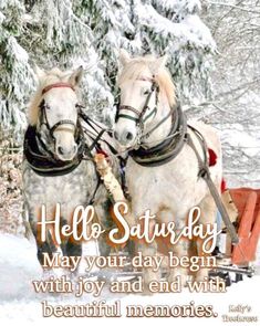 two white horses pulling a sleigh in the snow with text that reads, hello saturday may your day begin with joy and end with beautiful memories