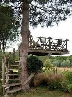 a tree house built into the side of a tree with stairs leading up to it