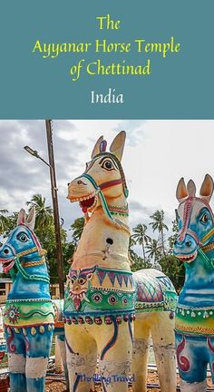 three colorful horses standing next to each other on top of a dirt field with palm trees in the background